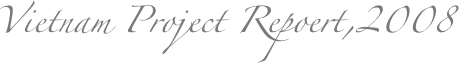 Vietnam Project Repoert,2008